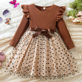 Long Sleeve Dress Dot Mesh Girl